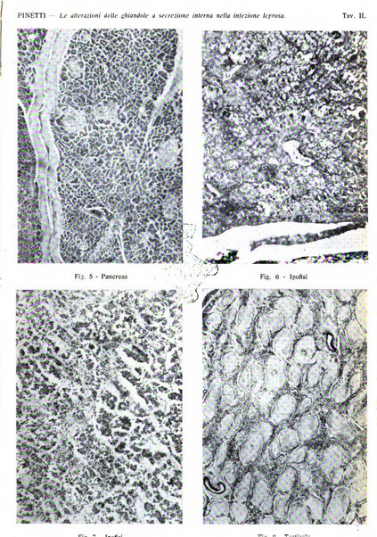 Giornale italiano di dermatologia e sifilologia