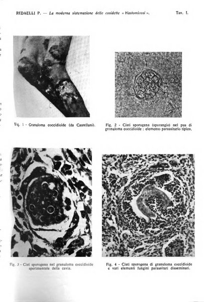 Giornale italiano di dermatologia e sifilologia