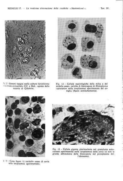 Giornale italiano di dermatologia e sifilologia