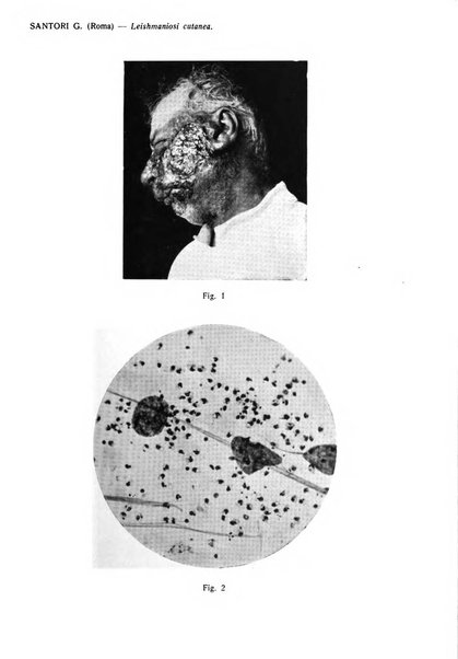 Giornale italiano di dermatologia e sifilologia