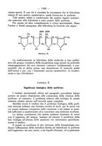 giornale/SBL0494928/1935/unico/00001375