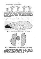 giornale/SBL0494928/1936/unico/00000039