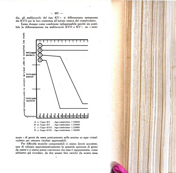 Giornale italiano di dermatologia e sifilologia