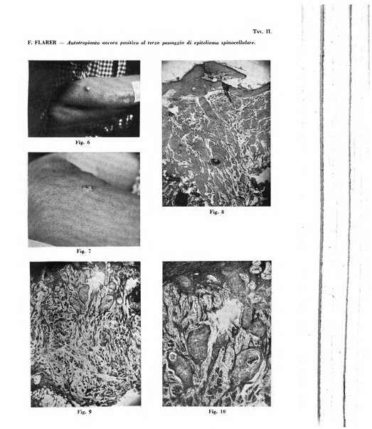 Giornale italiano di dermatologia e sifilologia