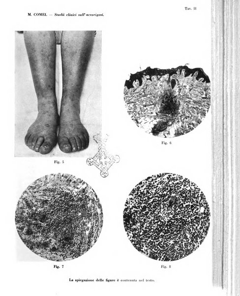 Giornale italiano di dermatologia e sifilologia