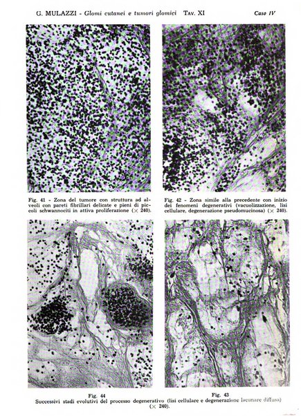 Giornale italiano di dermatologia e sifilologia