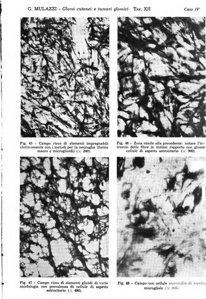 Giornale italiano di dermatologia e sifilologia