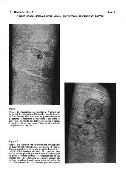 Giornale italiano di dermatologia e sifilologia