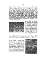 giornale/SBL0494928/1945-1946/unico/00000238