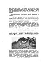 giornale/SBL0494928/1945-1946/unico/00000240