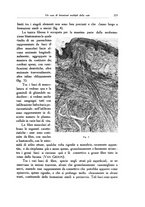 giornale/SBL0505701/1925/unico/00000241