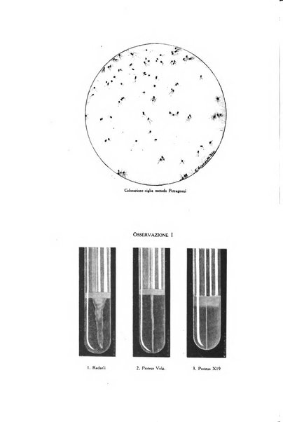 Archivio italiano di dermatologia, sifilografia e venereologia