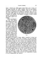 giornale/SBL0505701/1925/unico/00000447