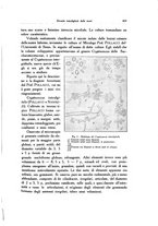 giornale/SBL0505701/1925/unico/00000501