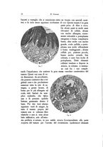 giornale/SBL0505701/1928-1929/unico/00000030