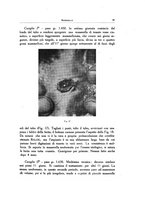 giornale/SBL0505701/1928-1929/unico/00000045