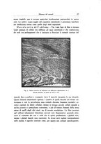 giornale/SBL0505701/1928-1929/unico/00000095