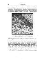 giornale/SBL0505701/1928-1929/unico/00000096