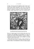 giornale/SBL0505701/1928-1929/unico/00000100