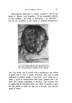 giornale/SBL0505701/1928-1929/unico/00000131