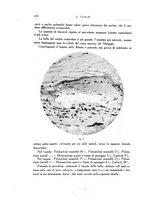 giornale/SBL0505701/1928-1929/unico/00000168