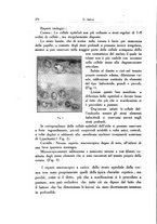 giornale/SBL0505701/1928-1929/unico/00000192