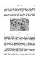 giornale/SBL0505701/1928-1929/unico/00000325