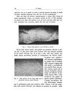 giornale/SBL0505701/1931/unico/00000042