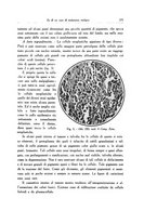 giornale/SBL0505701/1931/unico/00000289