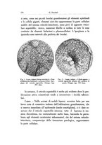 giornale/SBL0505701/1931/unico/00000394