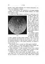 giornale/SBL0505701/1932/unico/00000264