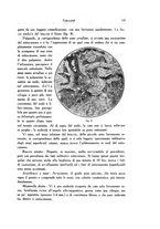 giornale/SBL0505701/1933/unico/00000167