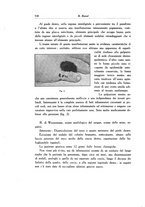 giornale/SBL0505701/1933/unico/00000590