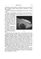 giornale/SBL0505701/1933/unico/00000595