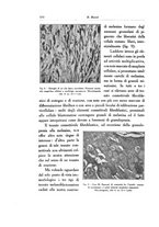 giornale/SBL0505701/1933/unico/00000602