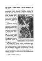 giornale/SBL0505701/1933/unico/00000603