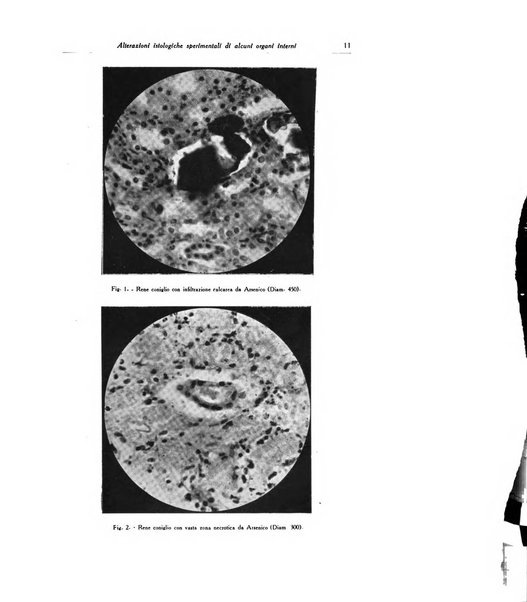 Archivio italiano di dermatologia, sifilografia e venereologia