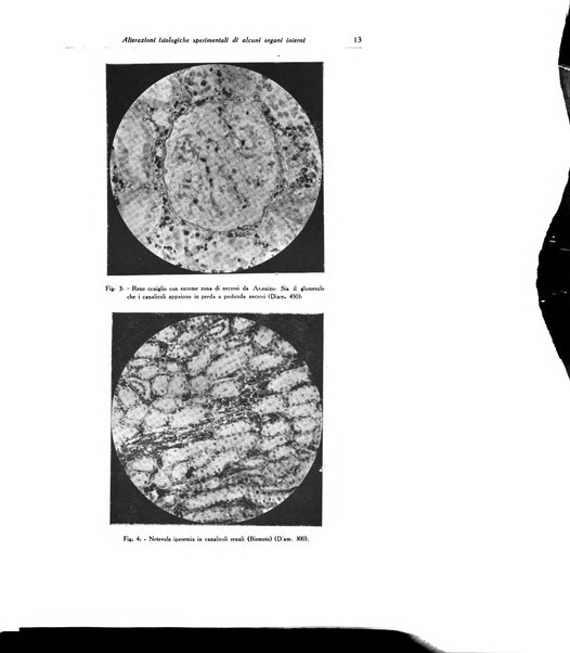 Archivio italiano di dermatologia, sifilografia e venereologia