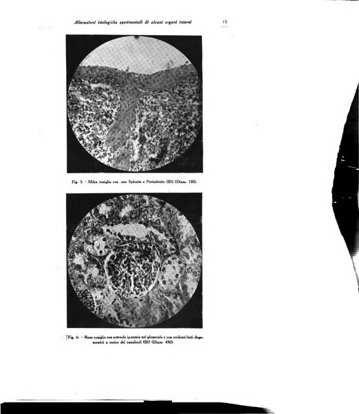 Archivio italiano di dermatologia, sifilografia e venereologia