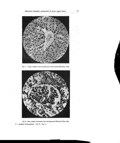 Archivio italiano di dermatologia, sifilografia e venereologia