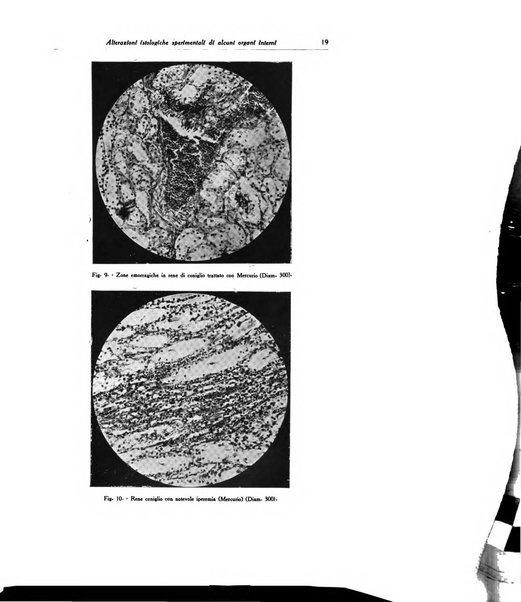 Archivio italiano di dermatologia, sifilografia e venereologia