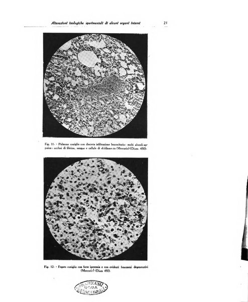 Archivio italiano di dermatologia, sifilografia e venereologia