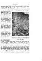 giornale/SBL0505701/1934/unico/00000043