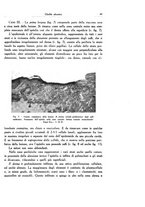 giornale/SBL0505701/1934/unico/00000045