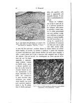 giornale/SBL0505701/1934/unico/00000046