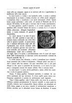 giornale/SBL0505701/1934/unico/00000099