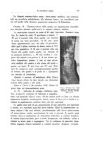 giornale/SBL0505701/1934/unico/00000167