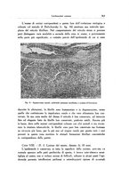 giornale/SBL0505701/1934/unico/00000379