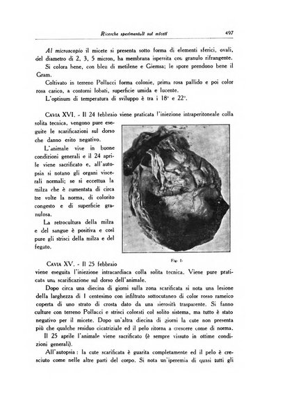 Archivio italiano di dermatologia, sifilografia e venereologia