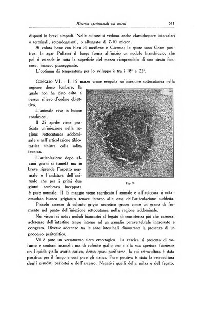 Archivio italiano di dermatologia, sifilografia e venereologia